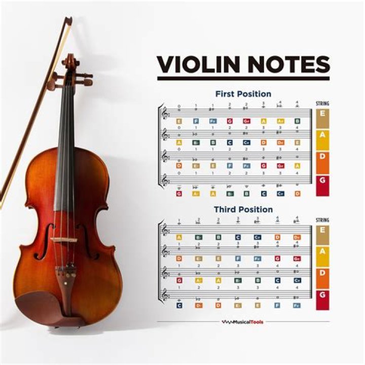 Exploring the Mystery: What We Know About Delia Turner Violin and the Name Delia